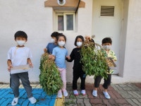 유치원 반 | 청송초등학교