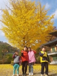 학교앨범<학교소식<번암초등학교동화분교장 번암초등학교동화분교장