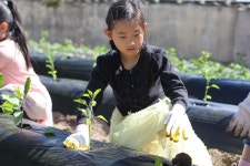 학교앨범<학교소식<번암초등학교동화분교장 번암초등학교동화분교장