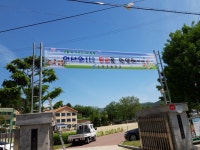 학교앨범<알림마당<소양초등학교 소양초등학교