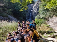 학교앨범<알림방<하서초등학교 하서초등학교