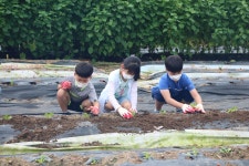 순간포착용동<학교소식<용동초등학교 용동초등학교