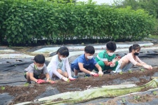 순간포착용동<학교소식<용동초등학교 용동초등학교