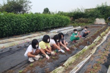 순간포착용동<학교소식<용동초등학교 용동초등학교