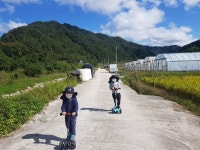 학교앨범<학교소식<번암초등학교동화분교장 번암초등학교동화분교장
