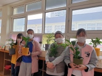교육활동 갤러리<연구학교<남목초등학교 남목초등학교
