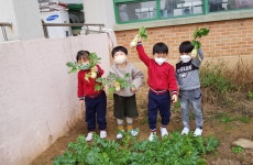 정다운반<앨범<병설유치원<남산초등학교 남산초등학교