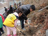사진으로 만나요<호연이<2011호연사이버박람회<교육활동마당<호연초등학교 호연초등학교