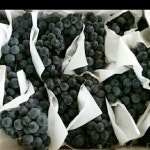 대전지역만)벌곡 캠벨포도6kg | 안전한 중고나라, NO.1 직거래 번개장터 대전지역만)벌곡 캠벨포도6kg | 번개장터