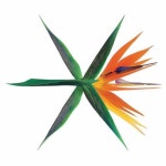 엑소 더워 코코밥 앨범 | 안전한 중고나라, NO.1 직거래 번개장터 엑소 더워 코코밥 앨범 | 번개장터