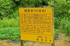 R# MTB 280랠리 답사3편(백덕산, 청태산코스) - Dr. Sparks Columns