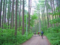 R# MTB 280랠리 사전답사 2일차(4(2/2)구간, 5구간) - Dr. Sparks Columns