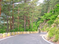 R# MTB 280랠리 사전답사 3일차(1구간, 2구간) - Dr. Sparks Columns