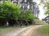R# MTB 충남 아산 광덕산 순환 - Dr. Sparks Columns