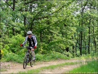 R# MTB 춘천 강촌챌린지코스 순환 - Dr. Sparks Columns