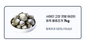 [단골농장] 서해안 고창 갯벌 해감된 동죽 조개 물총조개 7kg