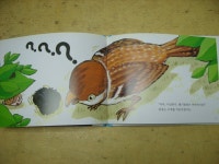 개똥이네-중고서적전문사이트 (개똥이네) 개똥이 그림책