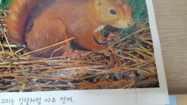 개똥이네-중고서적전문사이트 (개똥이네) 사진으로보는 자연이야기
