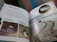 개똥이네-중고서적전문사이트 (개똥이네) 자연은 내친구