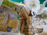 개똥이네-중고서적전문사이트 (개똥이네) [자연대탐험 시리즈]