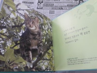 개똥이네-중고서적전문사이트 (개똥이네) 땅친구 물친구