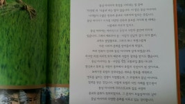 개똥이네-중고서적전문사이트 (개똥이네) 대교 세계문화탐험