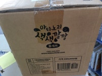 개똥이네-중고서적전문사이트 (개똥이네) 아티노리 색색깔깔