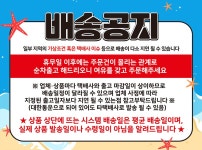 [화순팜]해나농장 완숙대박토마토 대과 5kg (개당180g-200g) - NS홈쇼핑