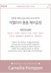 [까멜리아 폼폼 헤어곱창 (20H254) [10color]]