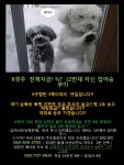 청년정신 전문위원게시판::코리아레이스 경마