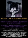 청년정신 전문위원게시판::코리아레이스 경마