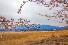 후지산  