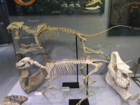 지질박물관 방문기