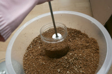 모택재와 함께하는 균사배양법