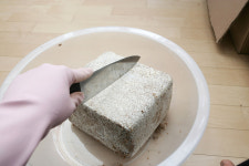모택재와 함께하는 균사배양법