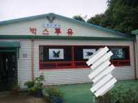 인천강화곤충박물관방문탐방기