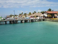 커뮤니티 - 비바 갤러리 비드바이코리아 - 해외 전문 경매대행 선두주자 커뮤니티 - 비바 갤러리