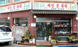 꽃배달서비스 - 플라워119꽃배달서비스 - [평택예인 꽃 화원, 경기도평택시]] 카테고리[꽃다발]