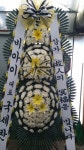 플라워119꽃배달서비스 