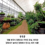 음악사랑4560 | 동양 최대의 수목원이 가평에. . . . - Daum 카페 동양 최대의 수목원이 가평에. . . .