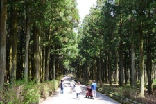 절물자연휴양림에서 만나는 걷기여행길