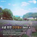 물오른 연천 핫스팟 BEST 4 : 허브zum 요즘은 포천보다 연천!...물오른 연천 핫스팟 BEST 4