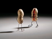 테리보더 | 검색결과 - zum 허브