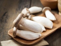 송이버섯 | 검색결과 - zum 허브