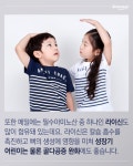 지금 메밀을 먹어야 하는 이유
