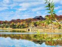 벌교 태백산맥 문학기행길 | 검색결과 - zum 허브