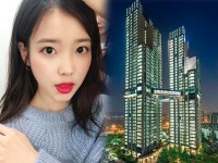 첼리투스 | 검색결과 - zum 허브