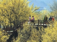 생명의바다그림대회 | 검색결과 - ZUM 허브