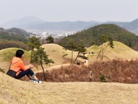 고령대가야읍 | 검색결과 - zum 허브