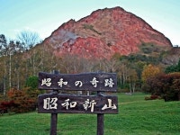 소화신산 | 검색결과 - zum 허브